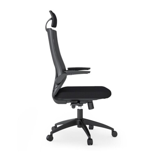 ALİSSA BLACK YÖNETİCİ OFİS KOLTUĞU PLS - (1)