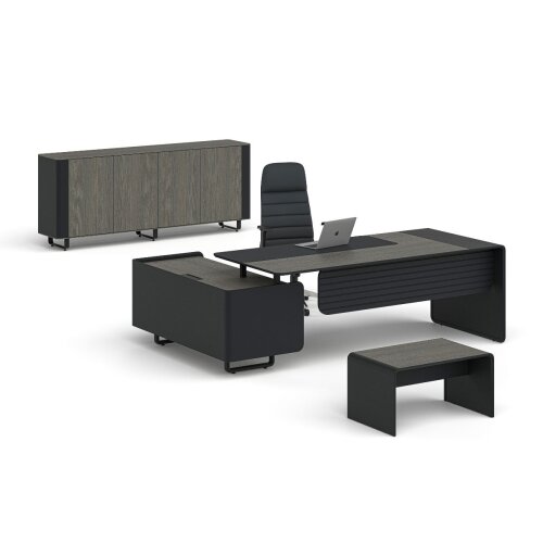 LİGNA MAKAM TAKIMI - (1)