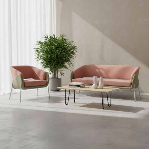 MİLLY KANEPE TAKIMI - 