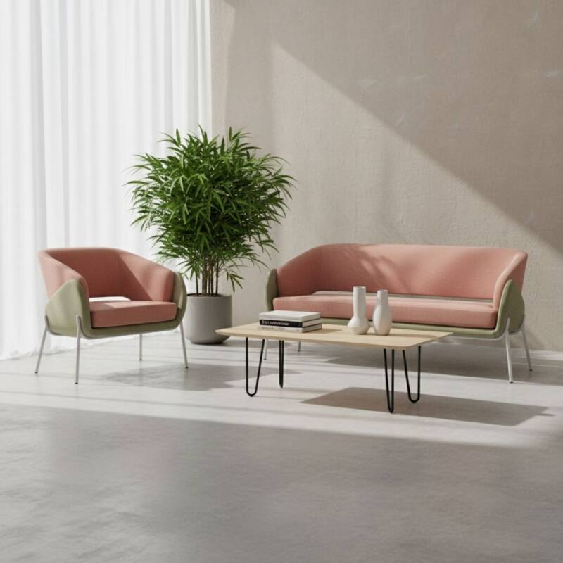 MİLLY KANEPE TAKIMI - 1