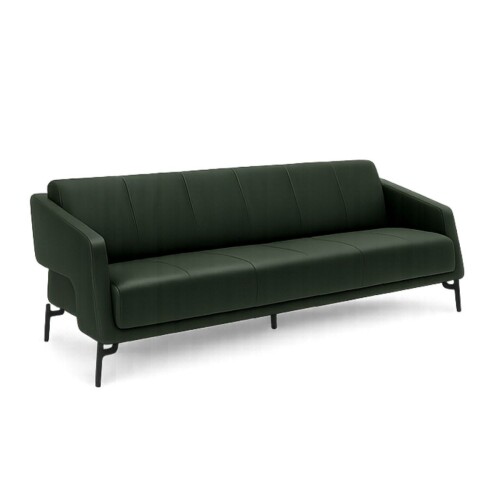 PALM KANEPE TAKIMI - 3