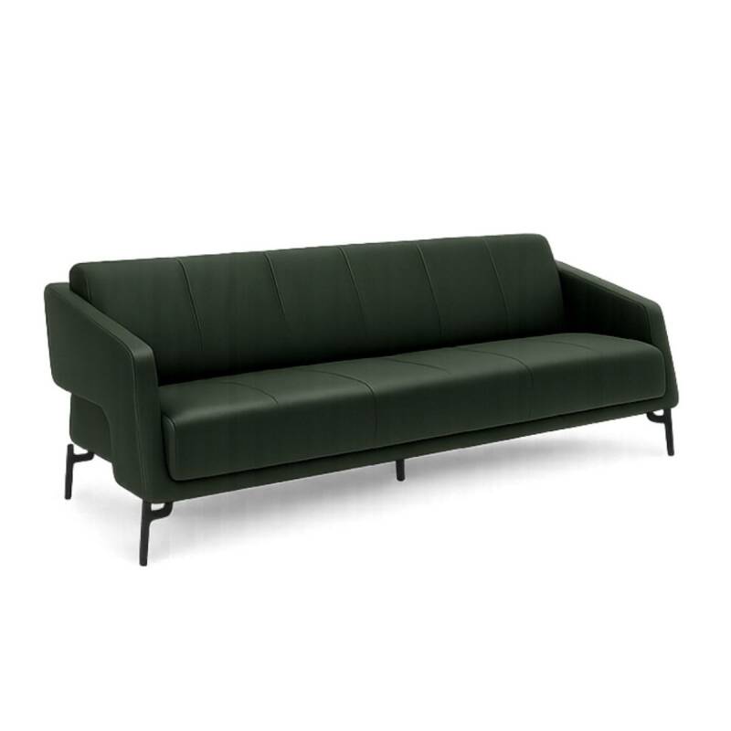 PALM KANEPE TAKIMI - 3