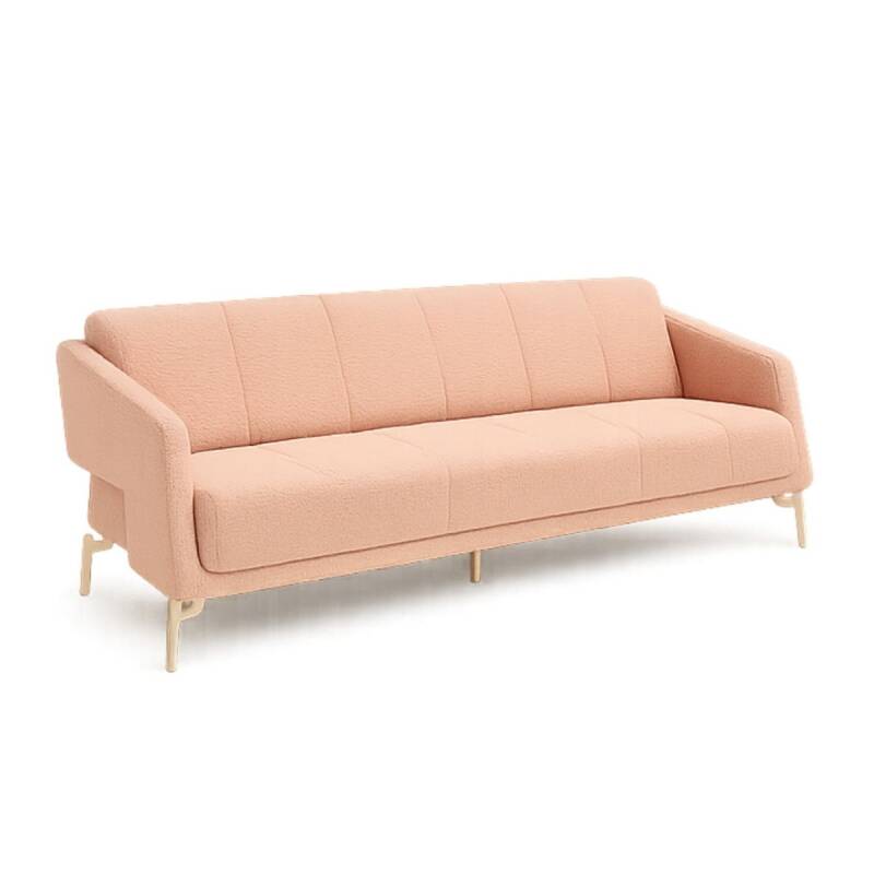 PALM KANEPE TAKIMI - 4