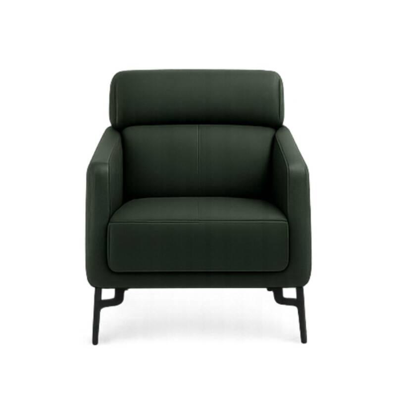 PALM KANEPE TAKIMI - 7