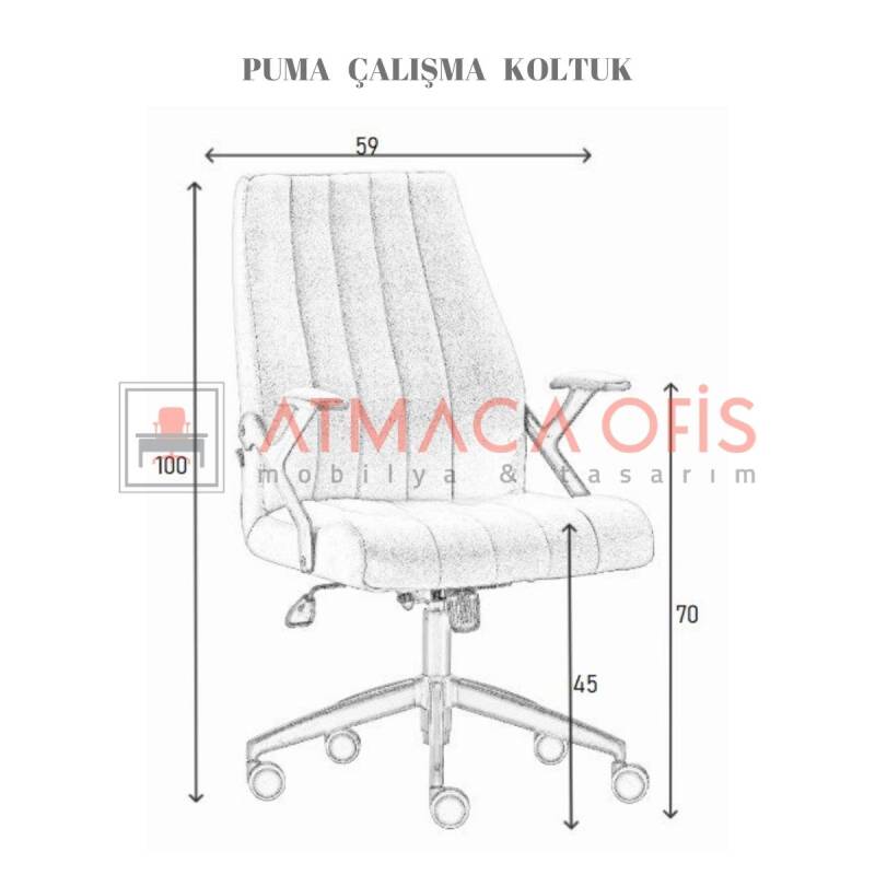 PUMA OFİS ÇALIŞMA KOLTUĞU - 4