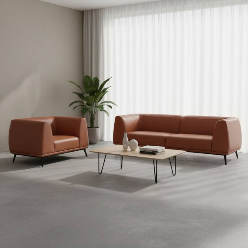 SOFY KANEPE TAKIMI - 1