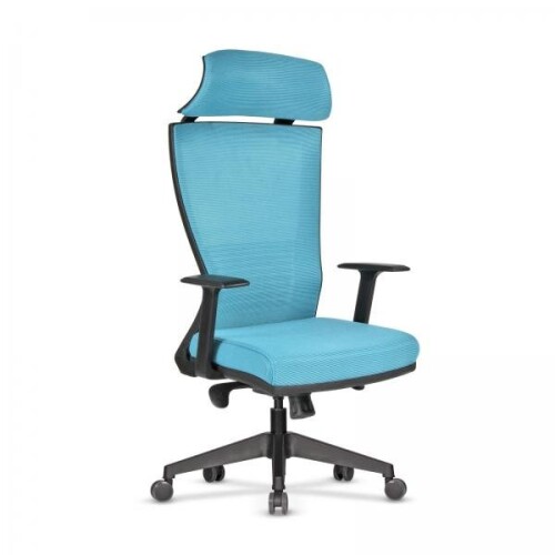 TIFANY CAS YÖNETİCİKOLTUĞU - (1)