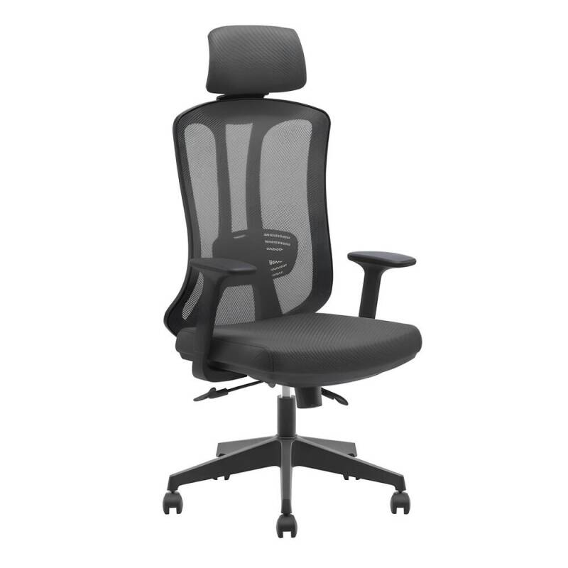 TREND PLS YÖNETİCİ KOLTUĞU - 1