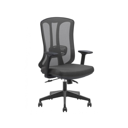 TREND PLS YÖNETİCİ KOLTUĞU - (1)