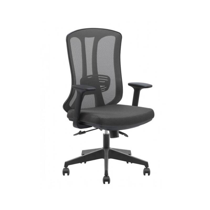 TREND PLS YÖNETİCİ KOLTUĞU - 2